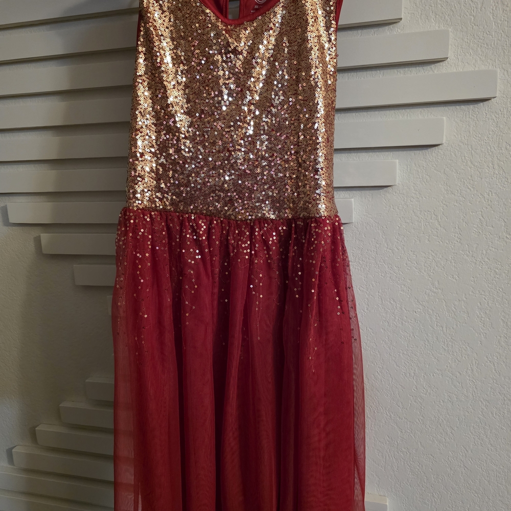 Wonder Nation Gold Sequin and Red Tulle Kids Dress